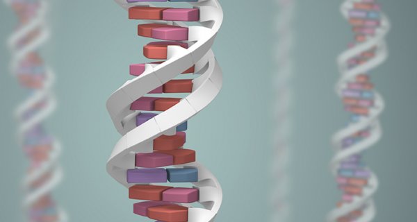 Human Genetics | Eccles