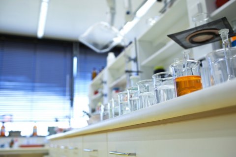 Pictures of Biotechnology