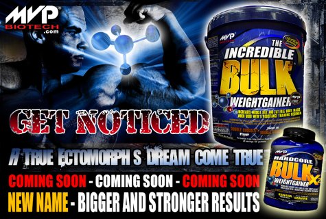 MVP BIOTECH - Engineering