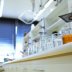 Biotechnology Masters