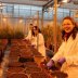 Genetics Course Scotland