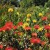 Santa Cruz Biotechnology Wiki