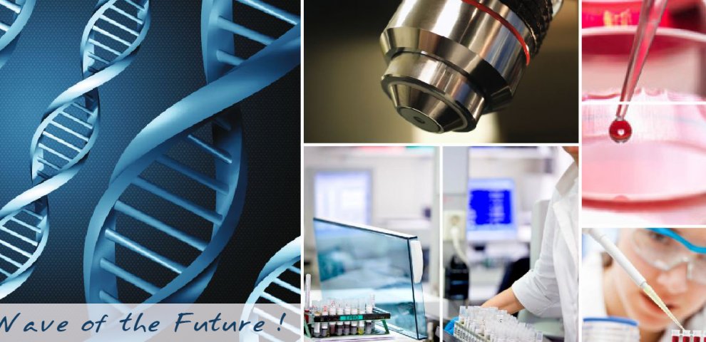 B.Sc. Biotechnology course Duration