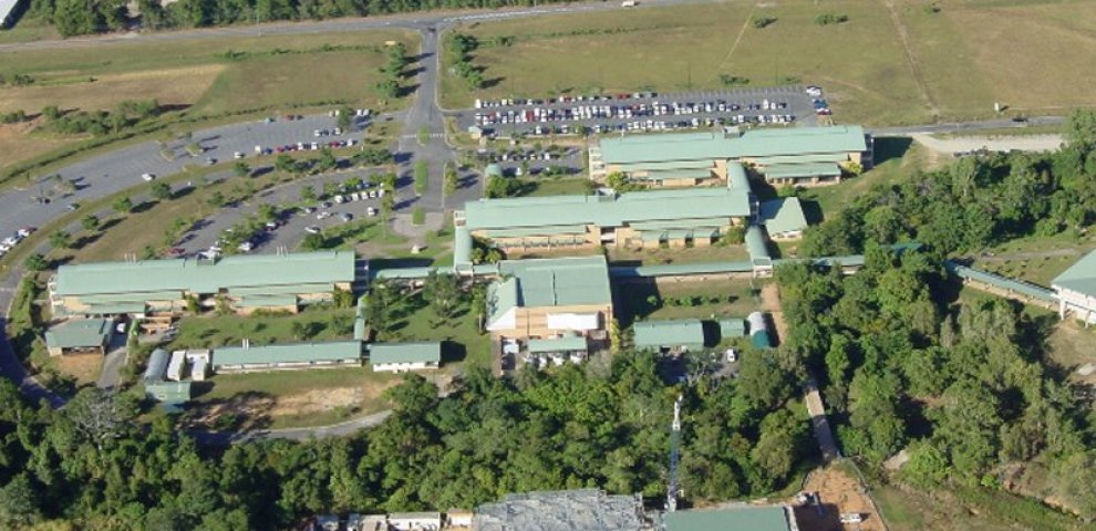 Genetics Degrees Australia