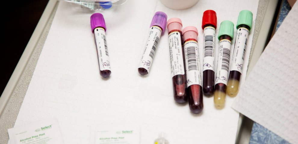 Genetics Masters online