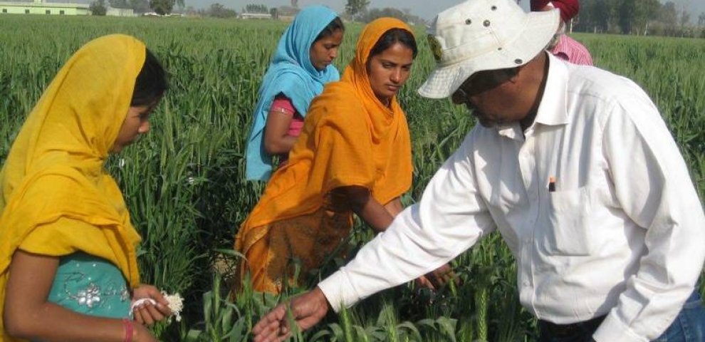 Master degree in Genetics in India