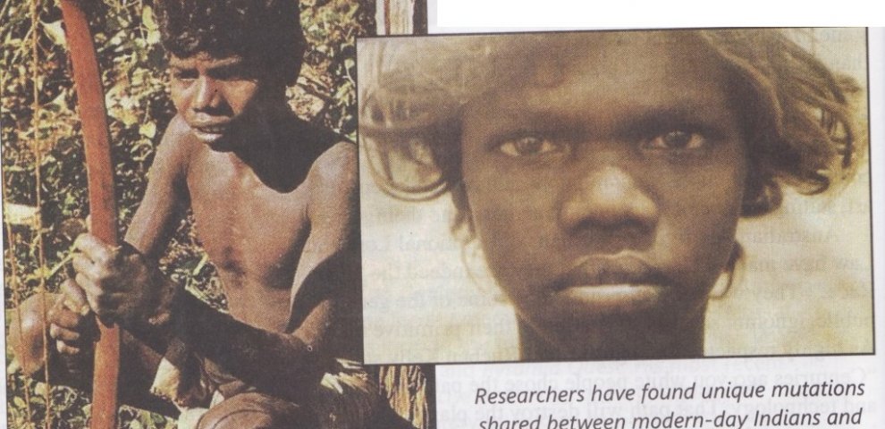 Study Genetics Australian