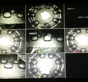 BioGenetic HCG Activator Amazon