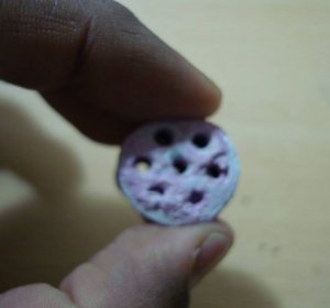 Biotechnology Engineering Syllabus