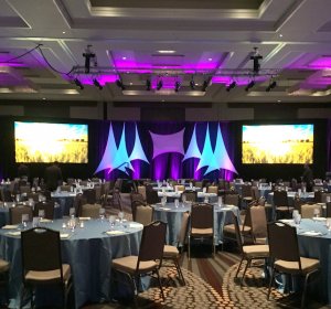 Biotechnology Industries