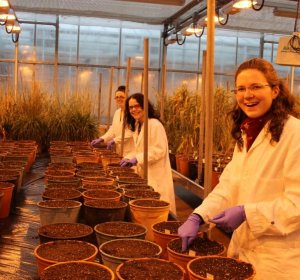 Genetics Course Scotland