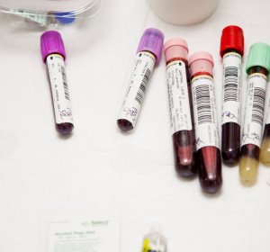 Genetics Masters online