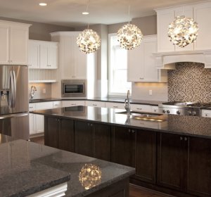 Hycult Biotechnology