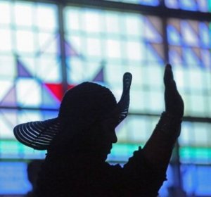 Online Genetics degree Programs