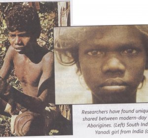 Study Genetics Australian