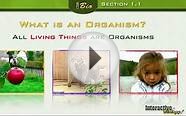 9-BIO-1 What is Biology.mp4