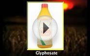 Applications of Crop Biotechnology