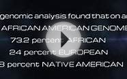 Largest genetic study of ‎American‬ ancestry: White